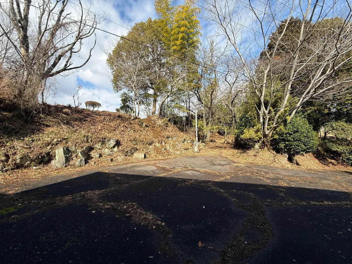 現地写真