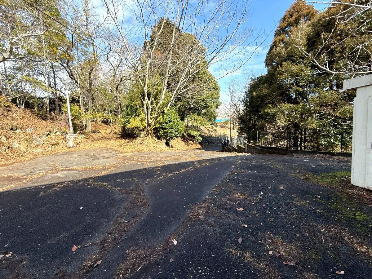 現地写真