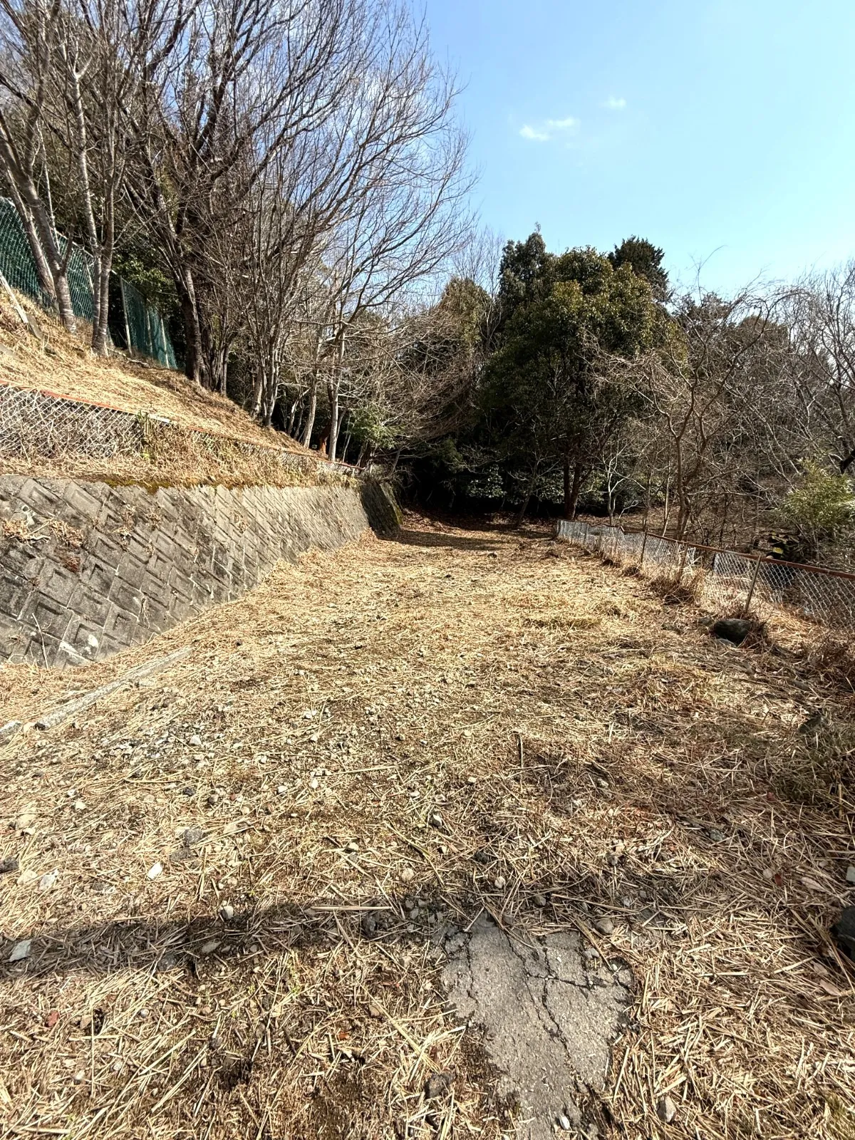 現地写真