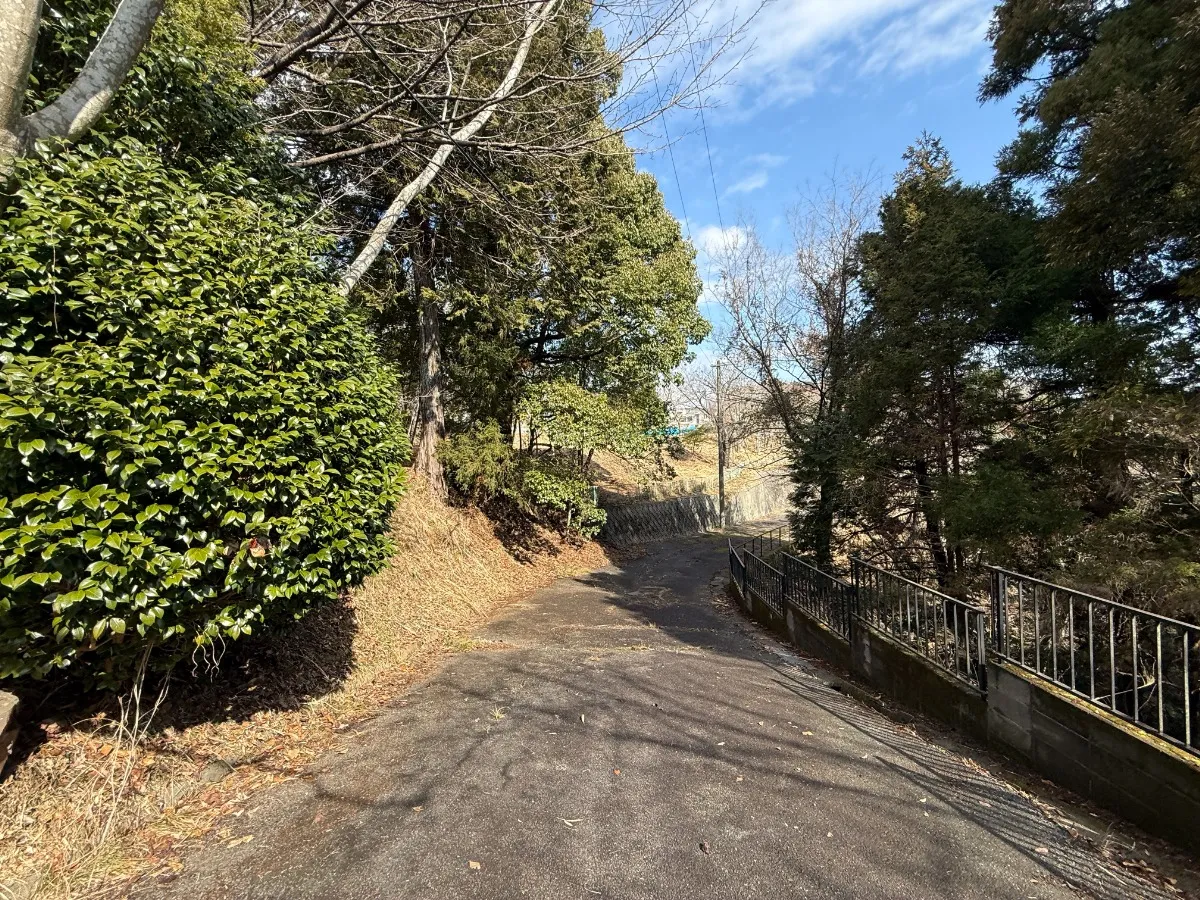 現地写真