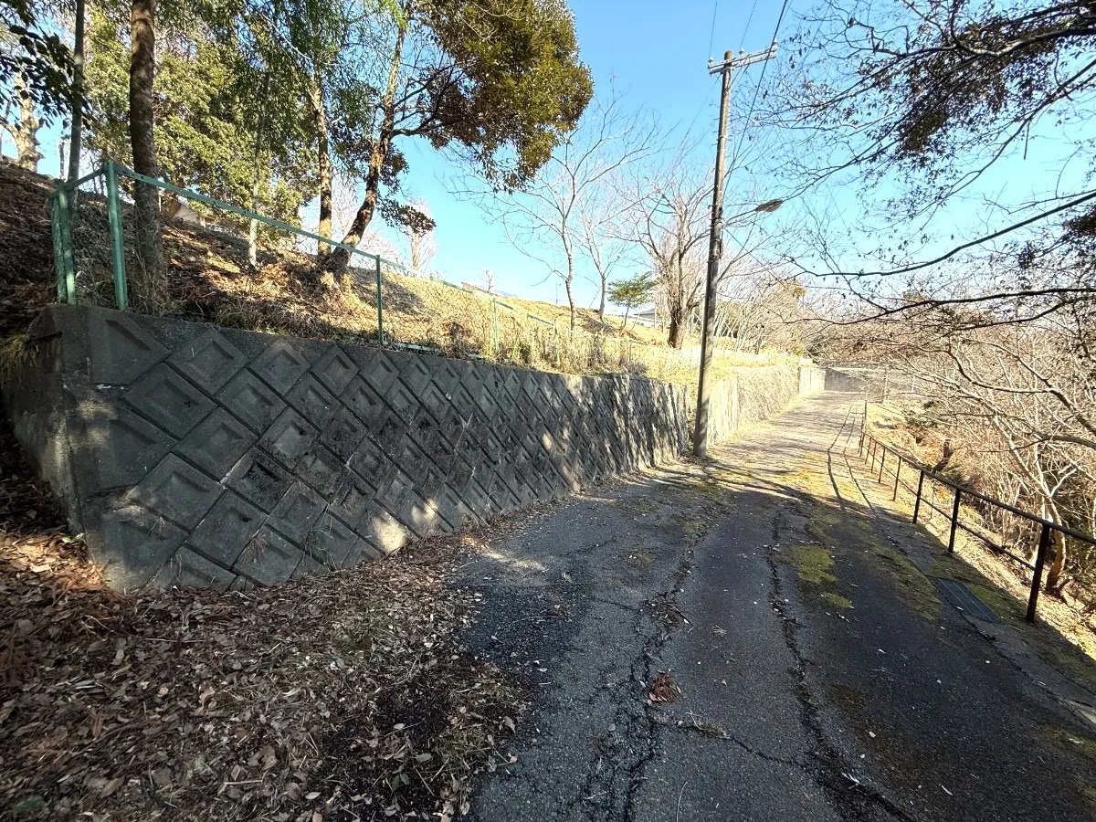現地写真