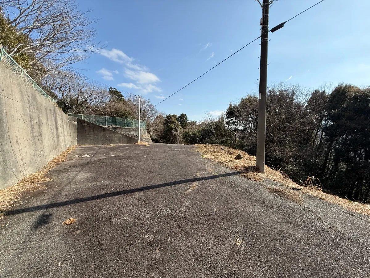 現地写真