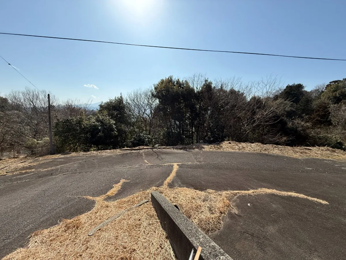 現地写真
